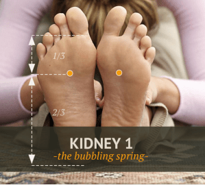 Kidney 1 Bubbling Spring