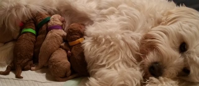 It's about SELF Care